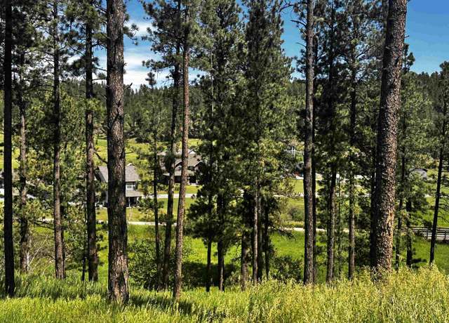 Property at Block 7 5 Lot 5, Hill City, SD 57745