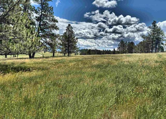 Property at TBD W Argyle Rd, Custer, SD 57730