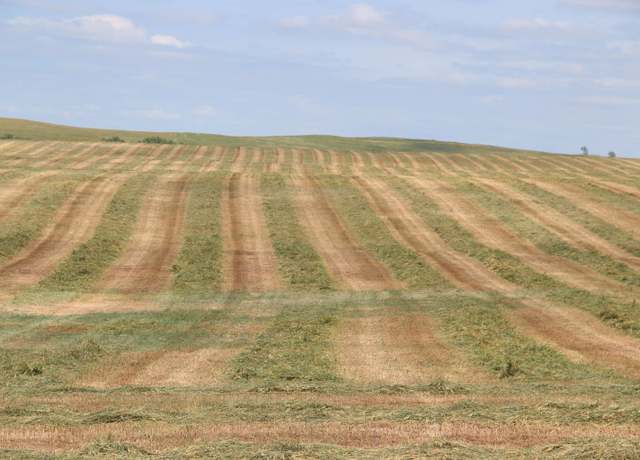 Property at Property in Winner, SD 57580