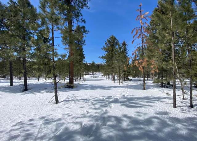 Property at 11294 Roundup, Lead, SD 57754
