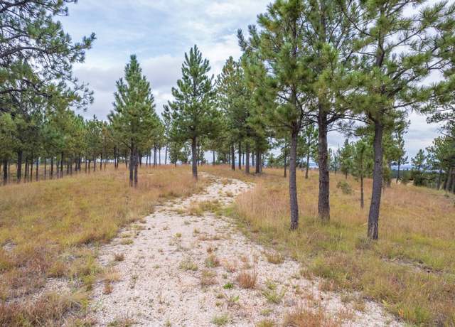 Property at 11675 Canyon Rim Rnch, Custer, SD 57730