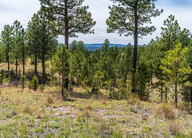 Property at 26771 Elk Run Rd, Custer, SD 57747