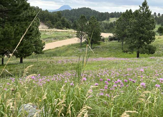 Property at Lot 30 Summit Pass, Whitewood, SD 57793