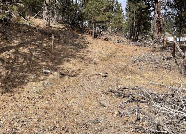 Property at TBD Hwy 40, Keystone, SD 57751