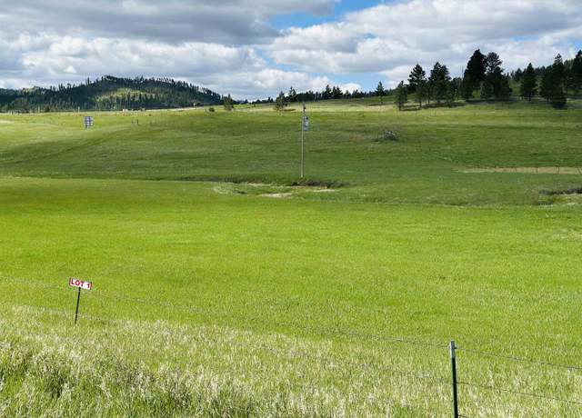 Property at 1 McVey Rd Lot 1, Hill City, SD 57745