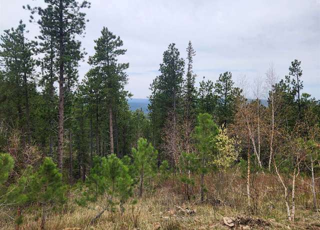 Property at 14 Aventure Loop, Lead, SD 57754