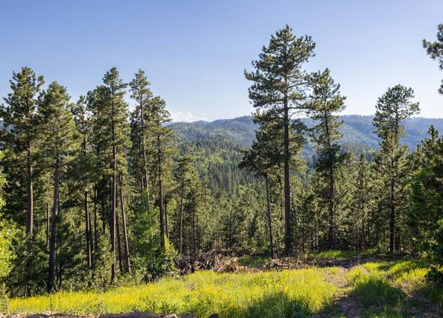 Property at Lot 133 Paradise Gulch Loop, Lead, SD 57754