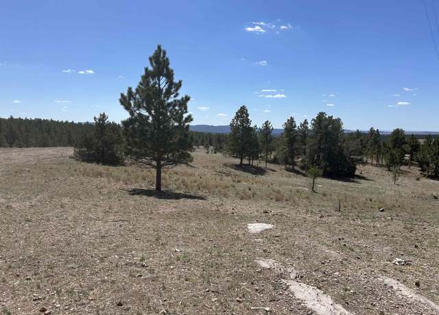 Property at TBD Winchester Rd, Custer, SD 57730