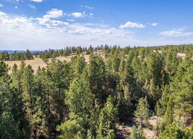 Property at TBD Winchester Rd, Custer, SD 57730