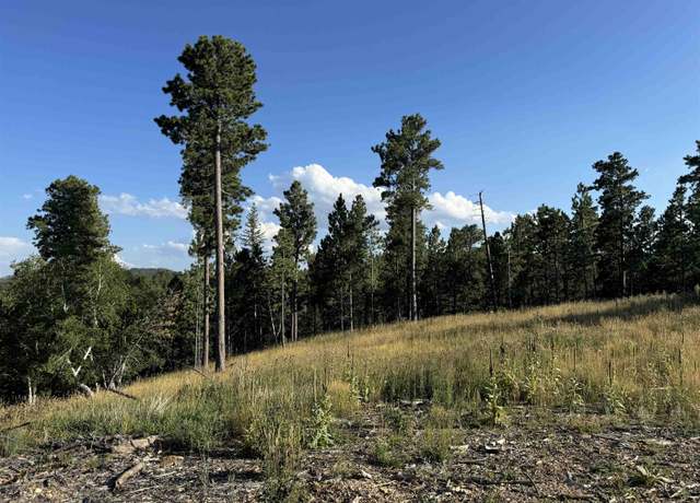 Property at Lot 21 Overlook Ct, Lead, SD 57754
