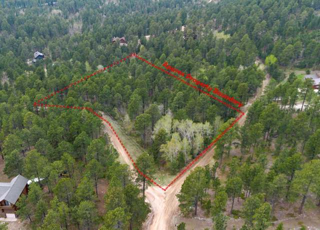 Property at 11821 Whale Rd, Deadwood, SD 57732