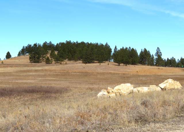 Property at Lot 10 Lonesome Dove St, Custer, SD 57730
