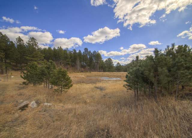 Property at Park 1 Laramie Trl, Custer, SD 57730