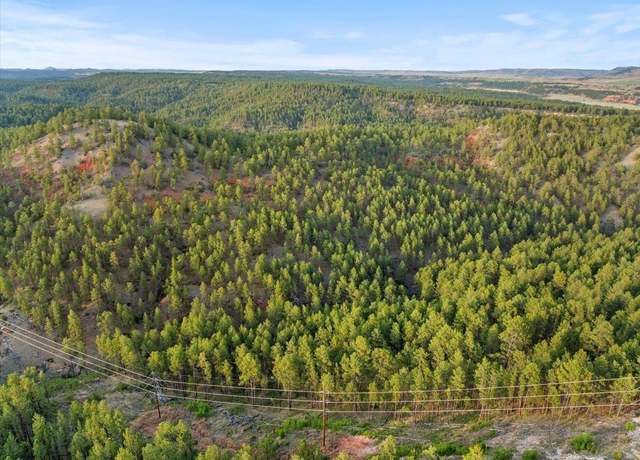 Property at TBD Argyle Rd, Hot Springs, SD 57747