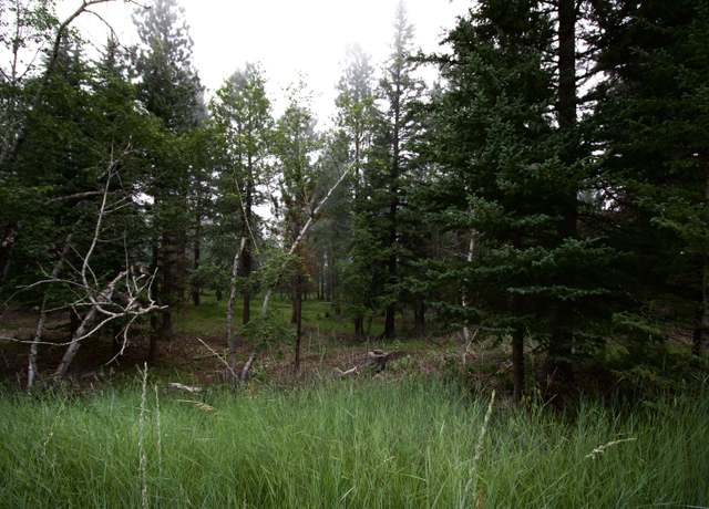 Property at 12052 Little Elk Rd, Deadwood, SD 57732