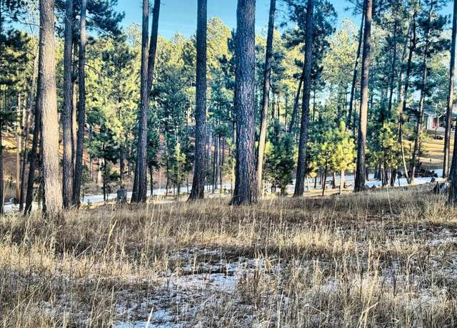 Property at TBD, Custer, SD 57730