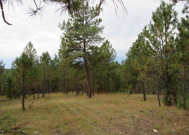 Property at TBD Lot 34B Hombre Trl, Custer, SD 57730