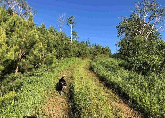 Property at 11775 Bear Mountain Dr, Custer, SD 57730