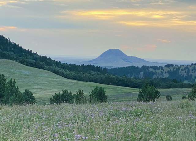 Property at 149.82+/- acres, Whitewood, SD 57793