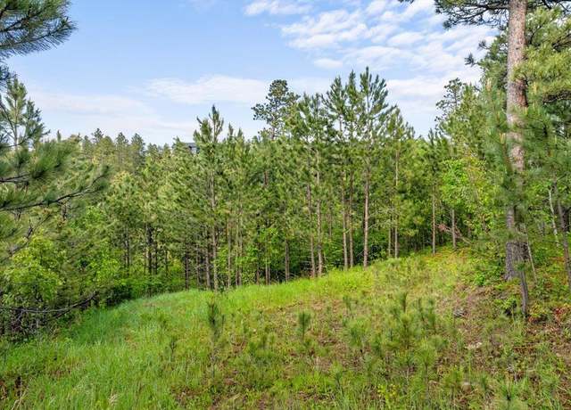 Property at Lot 17 Green Mountain Ct, Spearfish, SD 57783