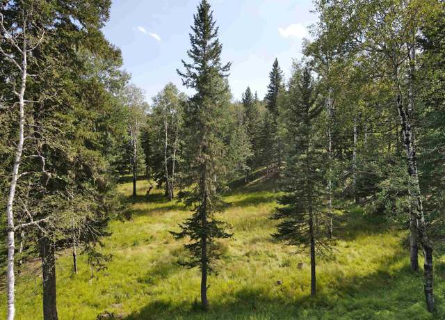 Property at 21334 Golden Slope Trl, Deadwood, SD 57732