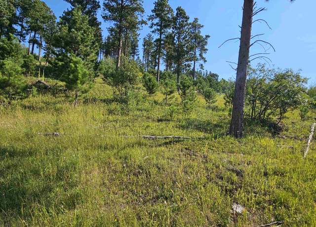 Property at TBD Last Chance Rdg, Deadwood, SD 57732