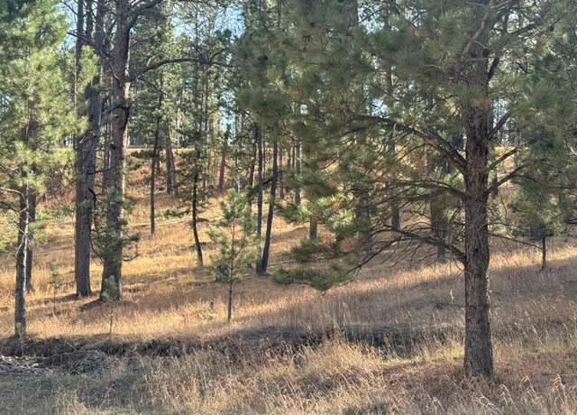 Property at Lot 1 Lechner Ln, Custer, SD 57730