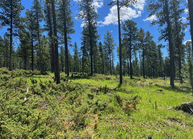 Property at Lot 1 Boles Canyon Rd, Lead, SD 57754