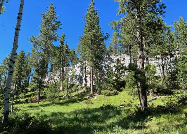Property at Lot 2 Boles Canyon Rd, Lead, SD 57754