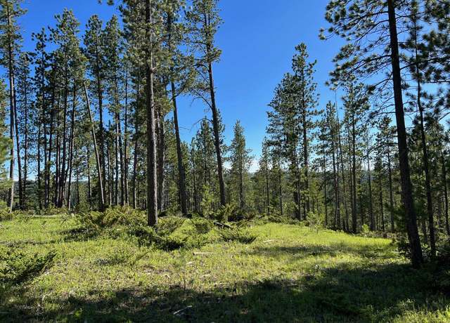 Property at Lot 5 Boles Canyon Rd, Lead, SD 57754