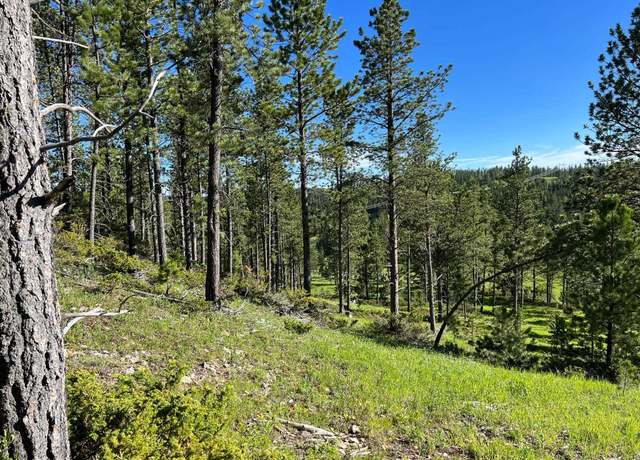 Property at Lot 6 Boles Canyon Rd, Lead, SD 57754