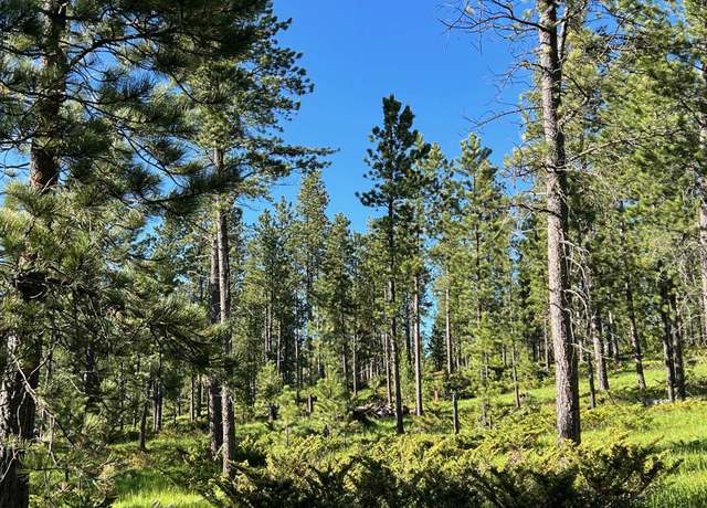 Property at Lot 7 Boles Canyon Rd, Lead, SD 57754