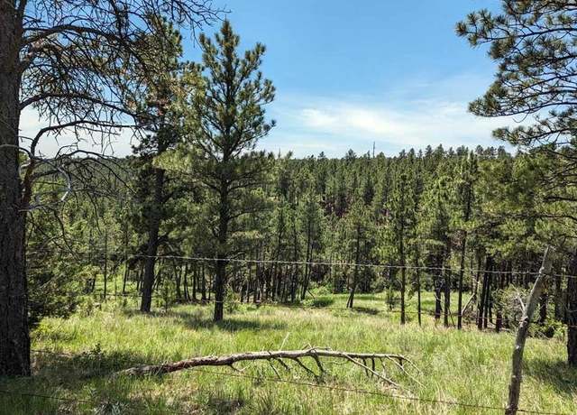 Property at Argyle Rd, Hot Springs, SD 57747