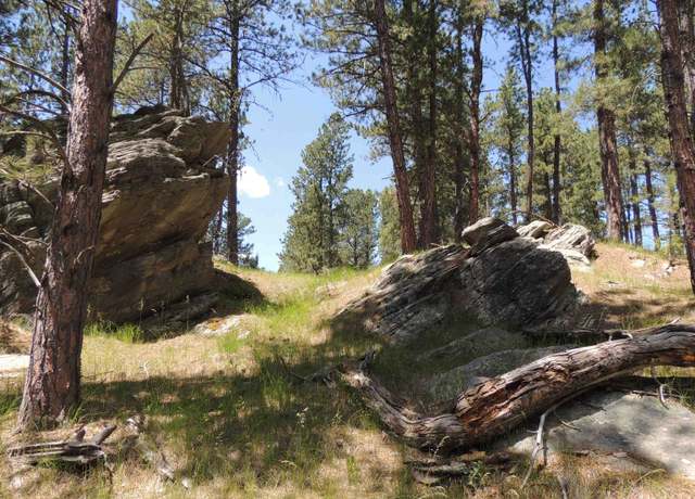 Property at Lot 22 DiamondE Upper French Creek Rd, Custer, SD 57730