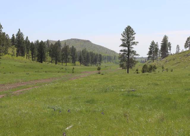 Property at 65.49 acres Custer Limestone Rd, Custer, SD 57730