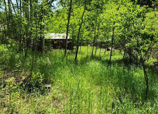 Property at 11670 Rochford Rd, Rochford, SD 57745