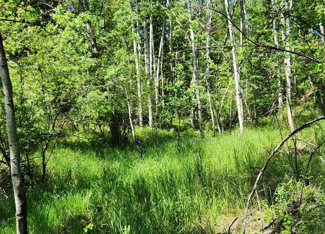 Property at 11670 Rochford Rd, Rochford, SD 57745