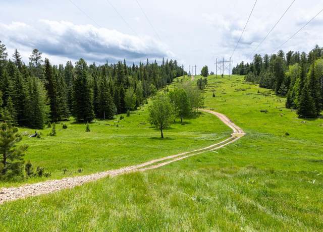 Property at 256.87 acres Yellow Creek Rd, Lead, SD 57754