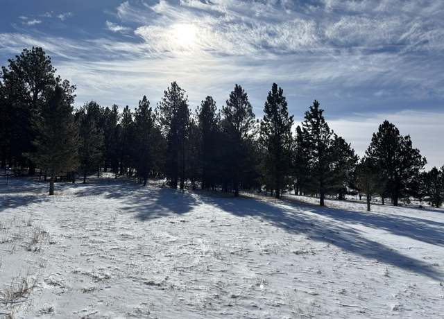 Property at Lot 13 Harriett Ward Rd, Custer, SD 57730