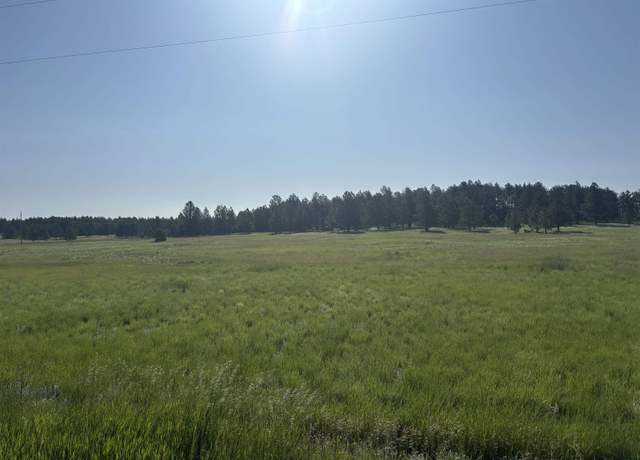 Property at Lot 13 Harriett Ward Rd, Custer, SD 57730