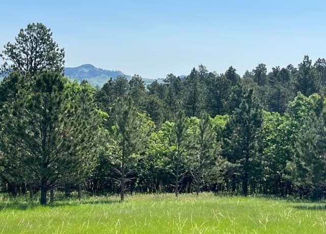 Property at tbd lot 7 Niobrara Dr, Whitewood, SD 57793