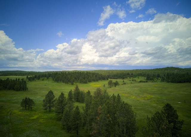 Property at Hopkins Flts, Pringle, SD 57730