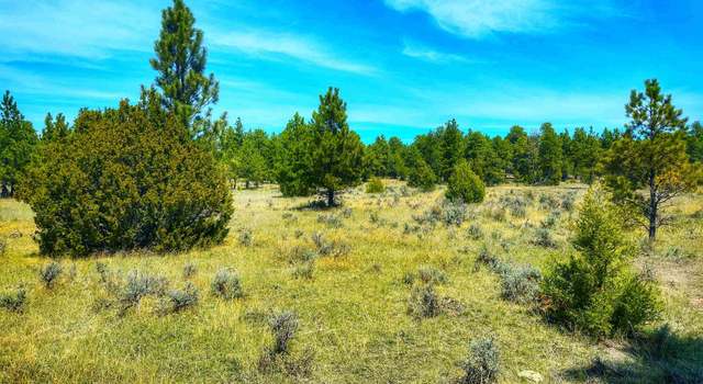 Photo of TBD Highway 16, Upton, WY 82730