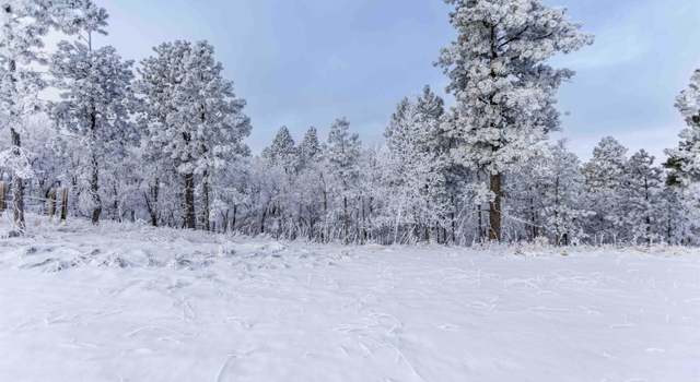 Photo of Lot 3 Niobrara Dr, Whitewood, SD 57793