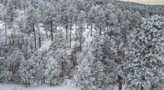 Photo of Lot 3 Niobrara Dr, Whitewood, SD 57793