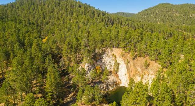 Photo of Dan Patch #4 Lafferty Gulch, Keystone, SD 57751