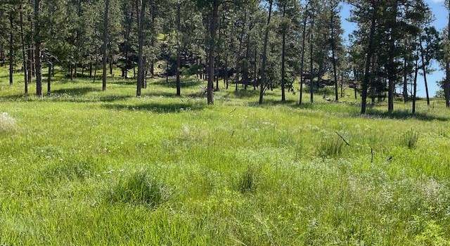 Photo of Tract 12a, Hulett, WY 82720