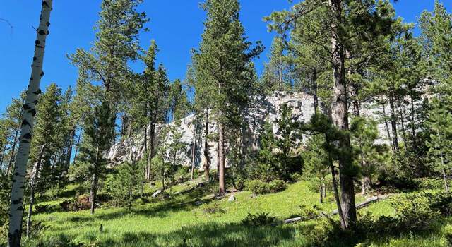Photo of Lot 2 Boles Canyon Rd, Central City, SD 57754