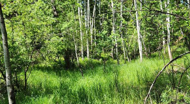 Photo of 11670 Rochford Rd, Rochford, SD 57745