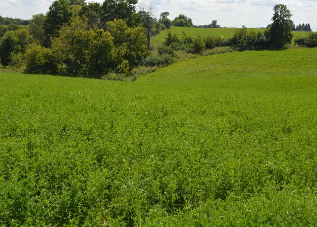 Property at 16421 40th Ave, Baldwin, IA 52207